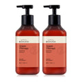 Beyond Argan Therapy Repairing Shampoo 500ml bottle – 2 pack