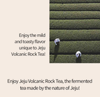 Osulloc Volcanic Rock Tea, 1 Pouch 20 Tea bags, from Korea by OSULLOC