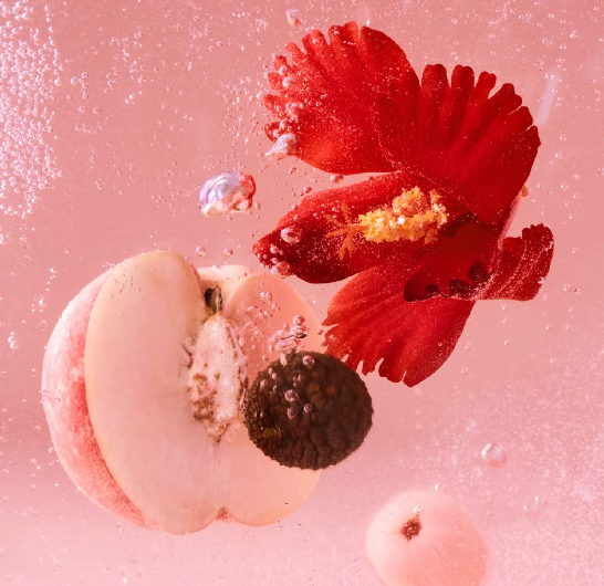 Osulloc Kombucha Tea Lychee Peach, 1 Box 10ea, from Korea by OSULLOC