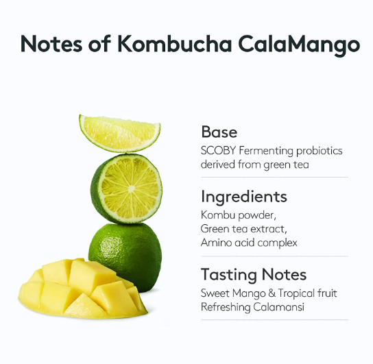 3 x Osulloc Kombucha Calamango, 1 Box X 10 Sachet, from Korea by OSULLOC