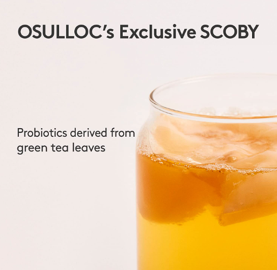 3 x Osulloc Kombucha Calamango, 1 Box X 10 Sachet, from Korea by OSULLOC