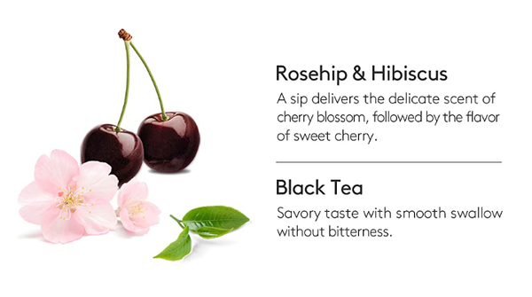 3 X OSULLOC Cherry Blossom Tea, 1 Pouch 20ea, from Korea by OSULLOC