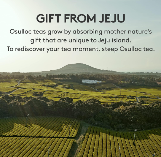 OSULLOC Special Tea Edition Gift Set, 54ea (6 x 9 flavors), Premium Tea Variety sampler - Self Care Gift Box, Premium Gourmet Pure & Blended Tea from Jeju from Korea_KT