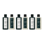 Longtake Basil & Vetiver Hair & Body Shower Gift Set with Shampoo 300ml and Body Wash 300ml – 3 pack