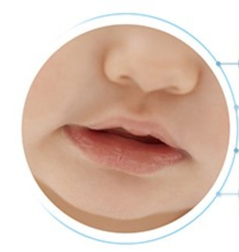 ATOPALM Panthenol Lipcera 4g from Korea