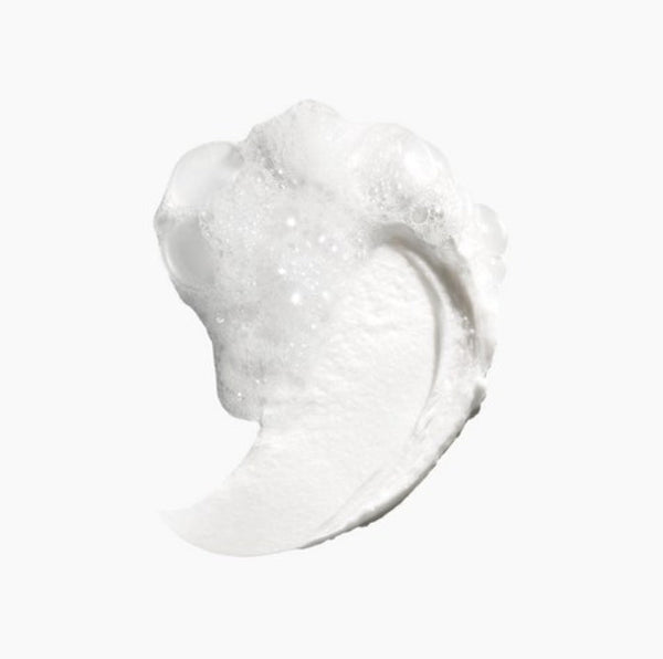 Dr.Jart+ Dermaclear Daily Exfoliating Cleanser 100ml from Korea