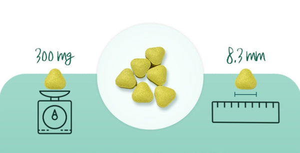 LG H&H Vital Garden re:tune Rich Biotin 5000 (30 Tablets) from Korea