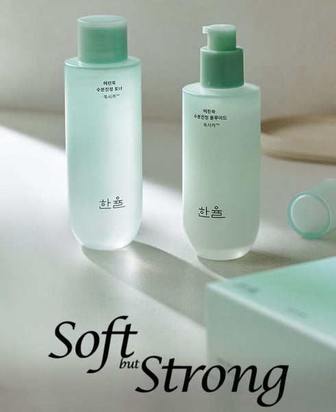 HANYUL Pure Artemisia Calming Balancing Basic Set (3 items) from Korea