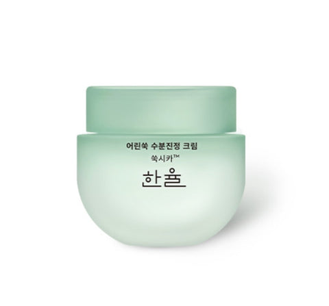 HANYUL Pure Artemisia Calming Water Cream 55ml from Korea