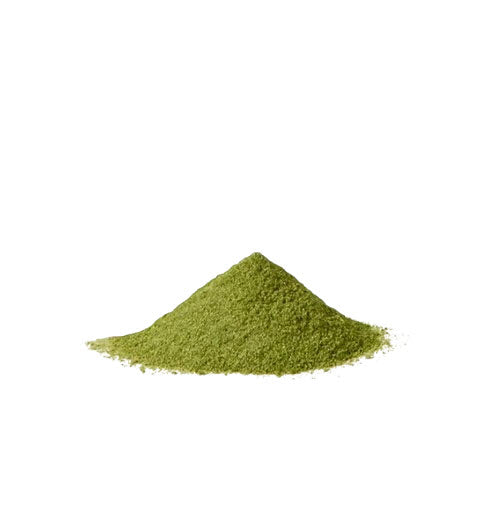 OSULLOC Jeju Matcha Milk Tea, 1 Box 10 Sticks , from Korea by OSULLOC