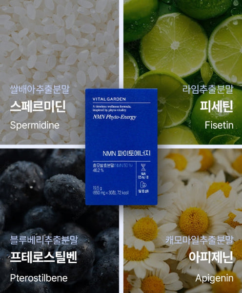 2 x LG H&H Vital Garden NMN Phyto-Energy (30 Tablets) from Korea