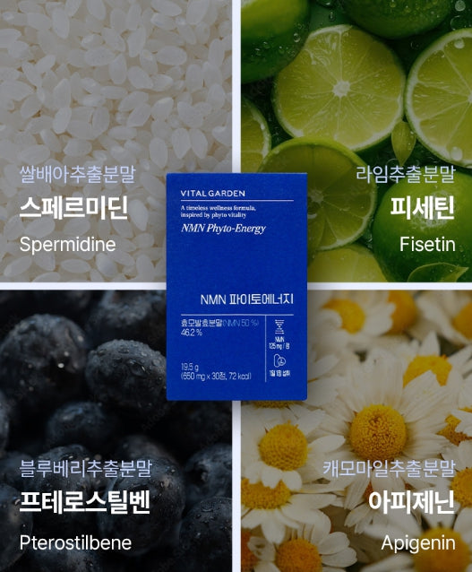 LG H&H Vital Garden NMN Phyto-Energy (30 Tablets) from Korea