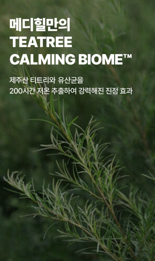 20 x MEDIHEAL Teatree Nude Gel Mask from Korea