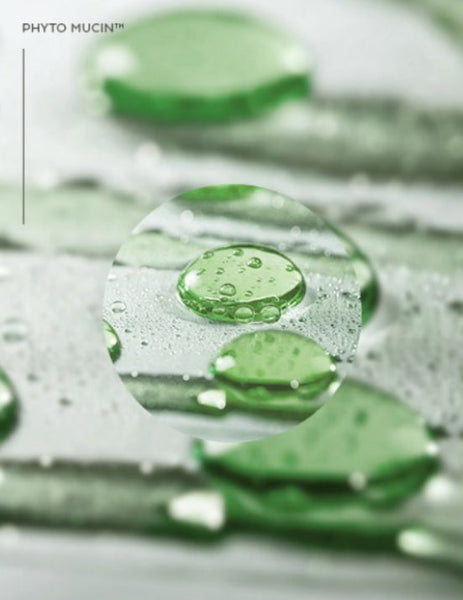 2 x MISSHA Layering Fit Pine Phyto Mucin Serum B.B Cream 30ml, #Coccon from Korea