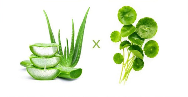 2 x MISSHA Premium Cica Aloe Soothing Gel 300ml - Calming & Hydrating K‑Beauty Gel from Korea