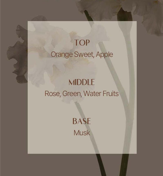 Mise-en-scene Royal Jelly Protein Shampoo 1000ml from Korea