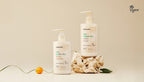 OSULLOC Jeju Green Tea Hand Wash 295ml + Jeju Green Tea Hand Lotion 295ml from Korea