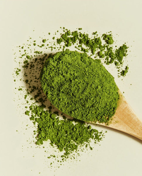 OSULLOC Matcha Powder 40g (Unsweetened) from Korea