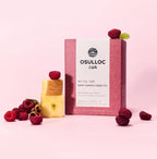 Osulloc Berry Garden Green Tea 10 Pyramid Tea Bags from Korea