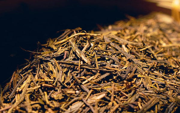 3 x Osulloc Jeju Hojicha 20 Tea Bags, Korean Roasted Green Tea from Korea