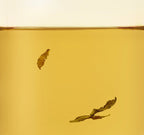 2 x Osulloc Jeju Hojicha 20 Tea Bags, Korean Roasted Green Tea from Korea