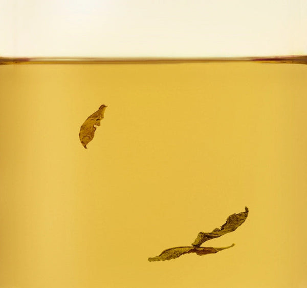 Osulloc Jeju Hojicha 20 Tea Bags, Korean Roasted Green Tea from Korea