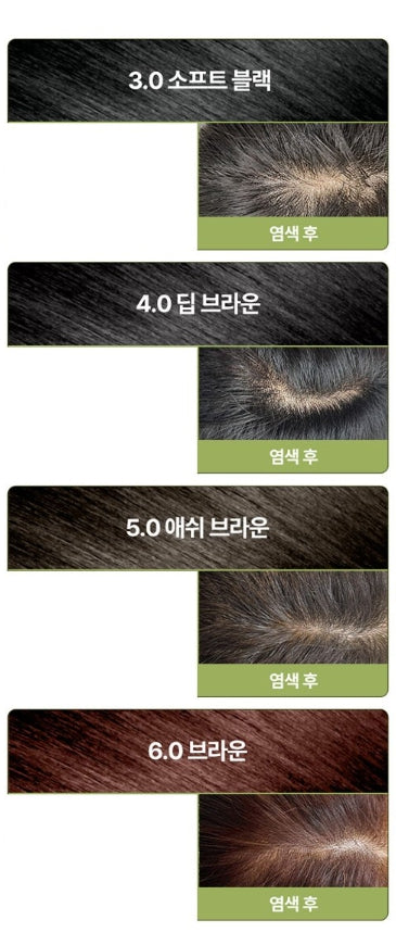 Ryo Vegan Black Bean Hair Dye Cream 120g, 6.0 Brown from Korea