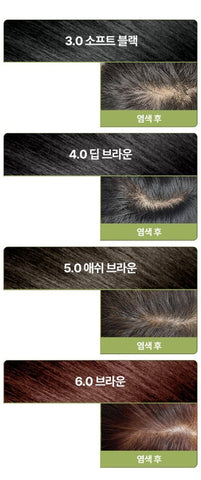 Ryo Vegan Black Bean Hair Dye Cream 120g, 6.0 Brown from Korea