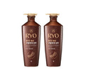 2 x Ryo Hongjindan Ginseng Nutrition Shampoo 820ml from Korea