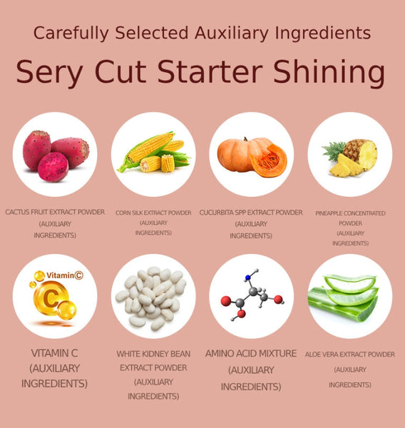 2 X SERY BOX Serycut Starter Duo from Korea_KT