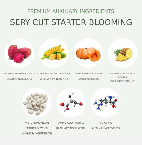 2 X SERY BOX Serycut Starter Duo from Korea_KT