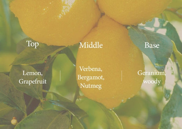 THE FACE SHOP Vigan The Botanic Lemon Verbena Body Wash 350ml – Refreshing Citrus Vegan Wash from Korea