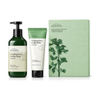 Beyond Healing Force Scalp Clinic Shampoo 650ml + 200ml shampoo and treatment gift box