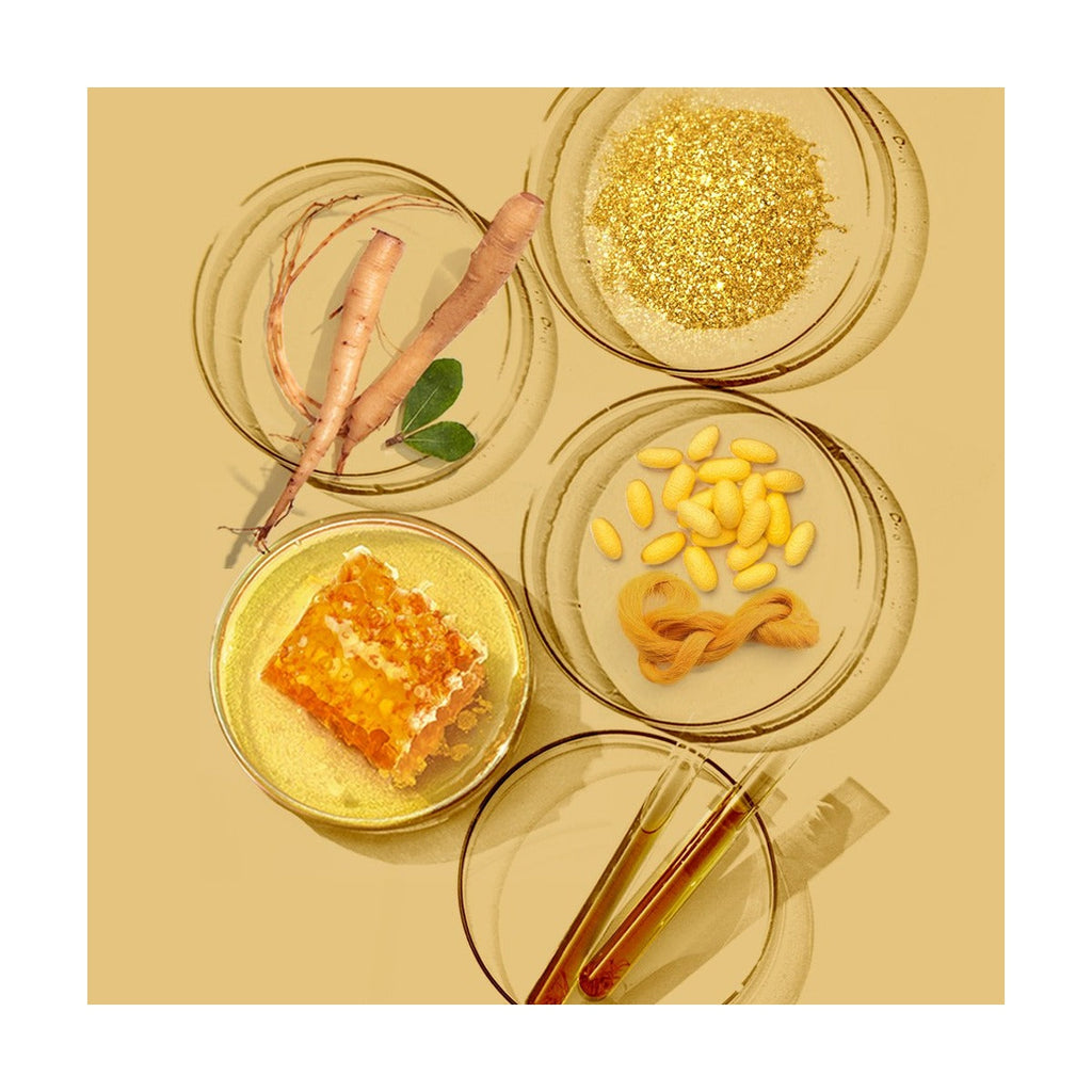 NATURE REPUBLIC Ginseng Royal Silk Watery Cream with Eye Cream set