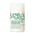 NATURE REPUBLIC Natural Made Artemisia Enzyme Powder Wash 45g