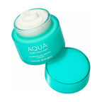 NATURE REPUBLIC Super Aqua Max Combination Watery Cream 120ml jar