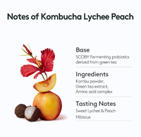 Osulloc Kombucha Tea LycheePeach, 1 Box 10ea, from Korea_KT
