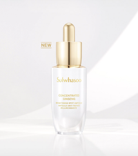 Sulwhasoo Concentrated Ginseng Brighening Spot Ampoule 20g + Ampoule Pouch (24ea) from Korea